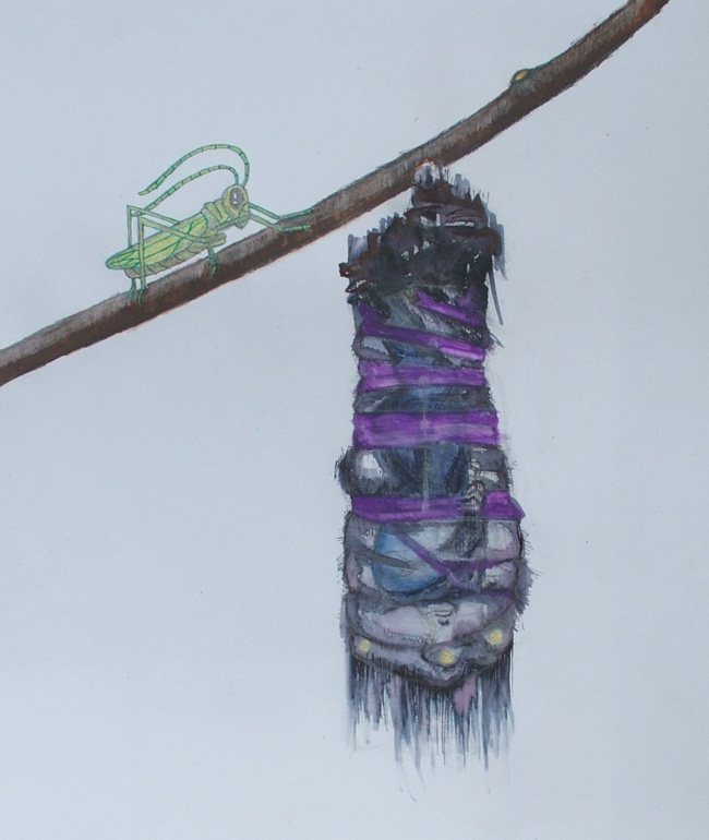 Arthrogryposis-with-Grasshopper-14.5.15