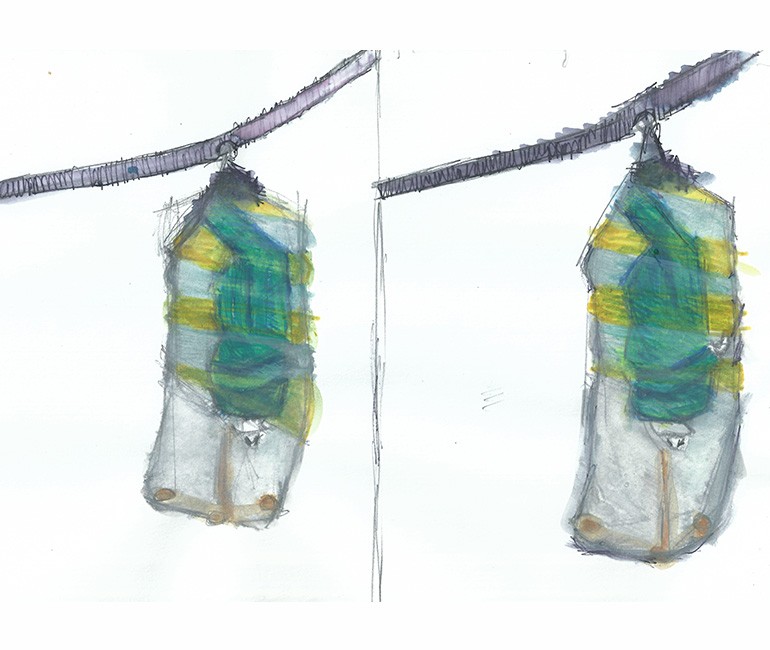 Colour-experiments-2