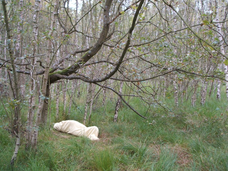 11.-Wimbledon-Common---October-2008